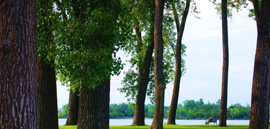 Park at lake in Iowa