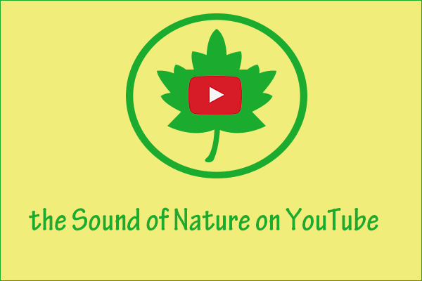 Obtenha o som da natureza no YouTube a partir desses 7 canais!
