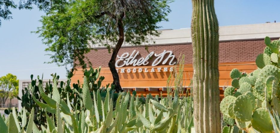 Famous cactus garden of Ethel M Chocolate Factory in Las Vegas, Henderson