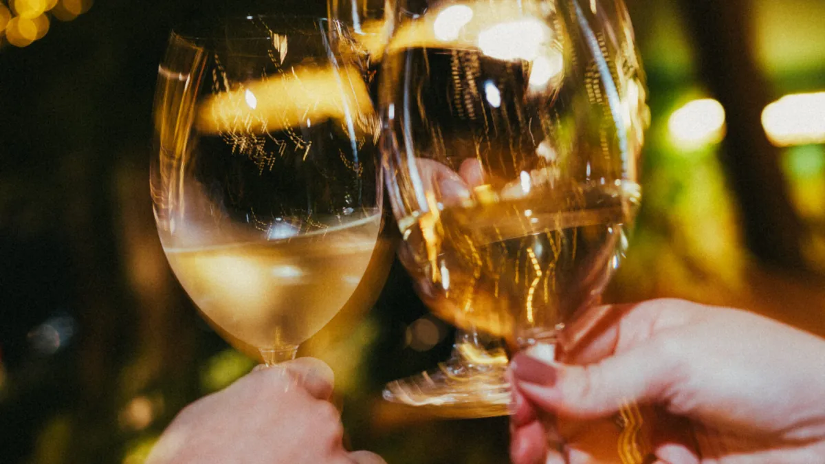 Wine Garden renova conceito e amplia carta com 50 vinhos em taça