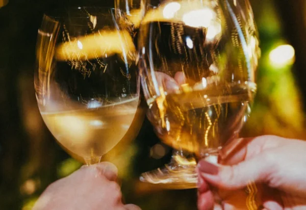 Wine Garden amplia carta com 50 vinhos em taça em Brasília