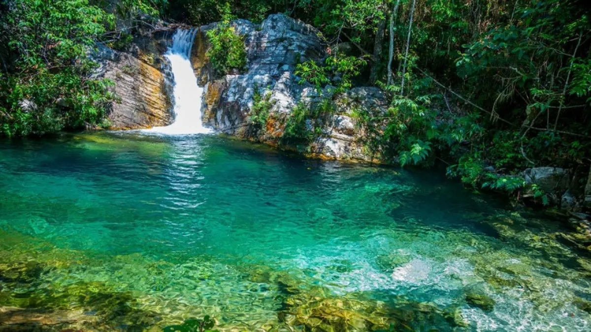 Cerrado: Chapada dos Veadeiros e Emas, patrimônio da Unesco