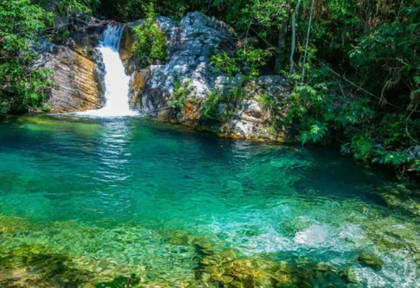 Chapada dos Veadeiros e Emas: santuário do Cerrado